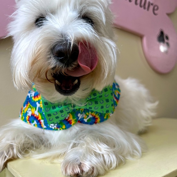 BOWTIE CAPES - Picture 1 of 5